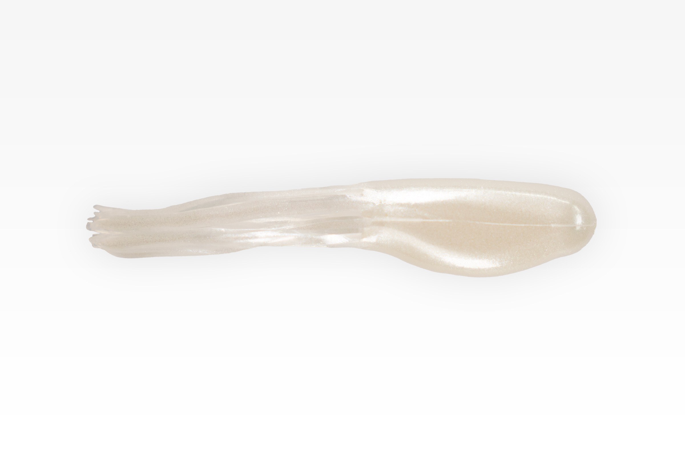 1.8" Minnow Tube