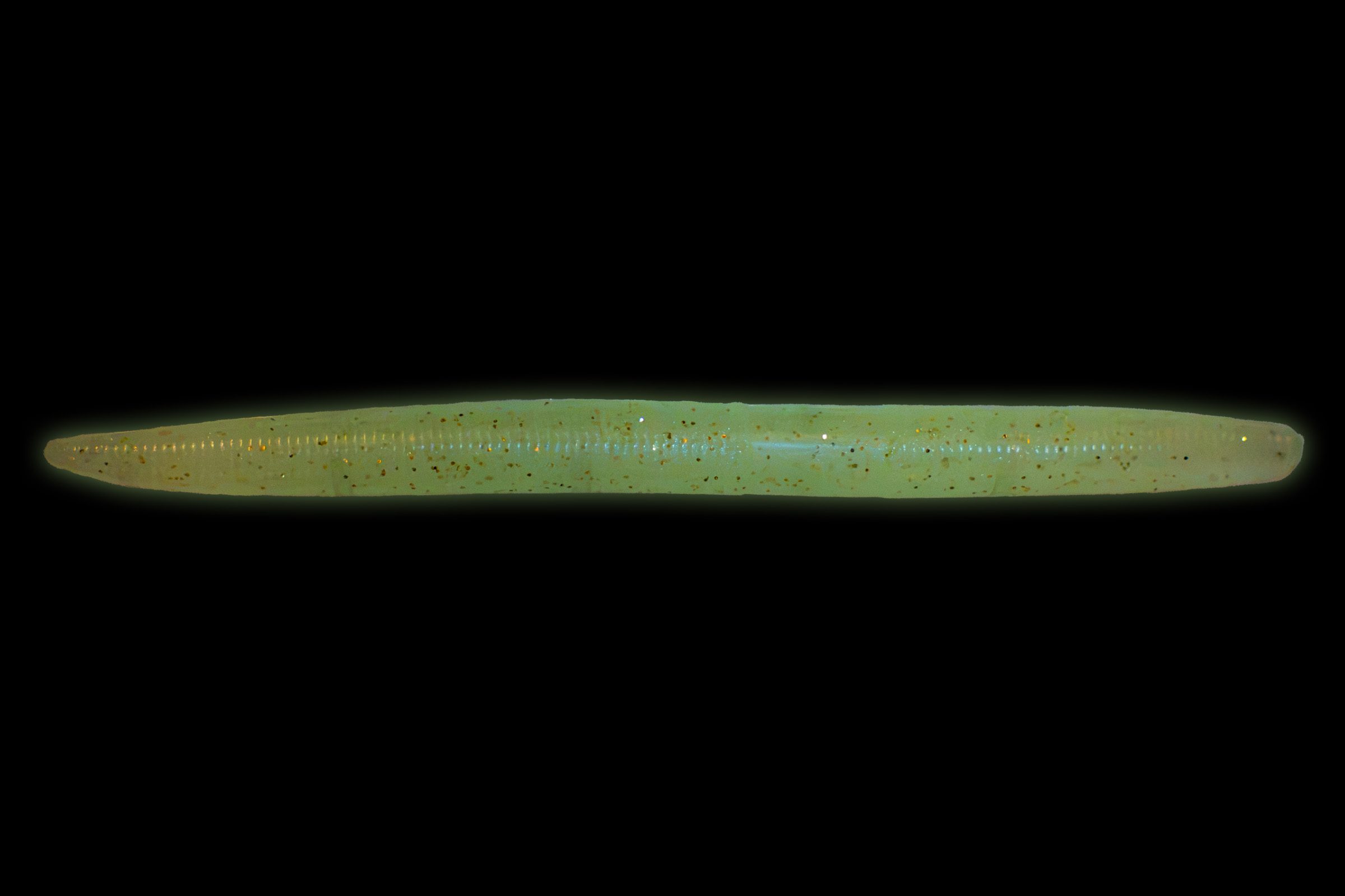  5" Stick Bait in Golden Glow (2)